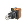 Omron A22NK-2BM-01BA-G102 Key-type Selector Switch