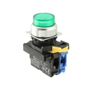 Omron A22NL-RPA-TGA-G100-GC Push button Switch