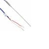 Omron E52-CA10AE-N 2M Temperature Sensor