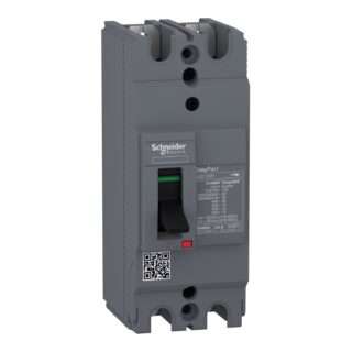 Schneider EZC100H2080 Circuit Breaker