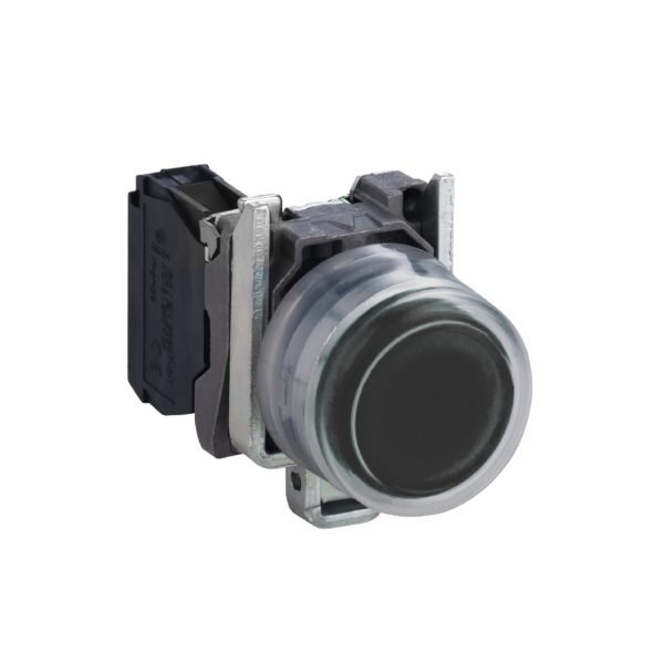 Schneider XB4BP21 Push button
