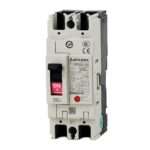 Mitsubishi NF250-SV 2P 250A Molded Case Circuit Breaker (MCCB)