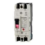 Mitsubishi NF63-CV 2P 60A Molded Case Circuit Breaker (MCCB)