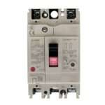 Mitsubishi NV63-CV 2P 32A 100-240V 30MA Earth Leakage Circuit Breakers (ELCB)