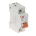LS BKH 1P C100A Miniature Circuit Breakers (MCB)