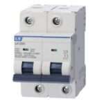 LS LA125H 2P C100A Miniature Circuit Breakers (MCB)