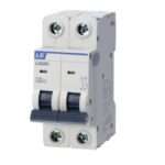 LS LA63H 2P C10A Miniature Circuit Breakers (MCB)