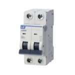 LS LA63N 2P C25A Miniature Circuit Breakers (MCB)