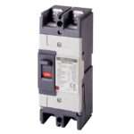 LS ABN62c 60A Molded Case Circuit Breaker (MCCB)