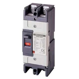 LS ABN62c 60A Molded Case Circuit Breaker (MCCB)