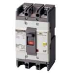 LS EBN102c 100A 100mA Earth Leakage Circuit Breaker (ELCB)