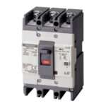LS EBS33c 5A 100/200/500mA Earth Leakage Circuit Breaker (ELCB)