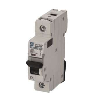 Fuji Electric BCL63E0CG-1P020 Miniature Circuit Breaker