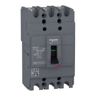 Schneider EZC100B3060 Molded Case Circuit Breaker (MCCB)